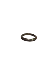 Bague/Joint FAST Réf 81159010036