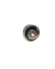 Galet Moteur Recreo Réf 504006261