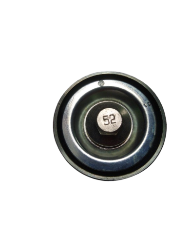 Poulie Moteur Tector Réf 504065879