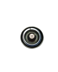 Poulie Moteur Tector Réf 504065879
