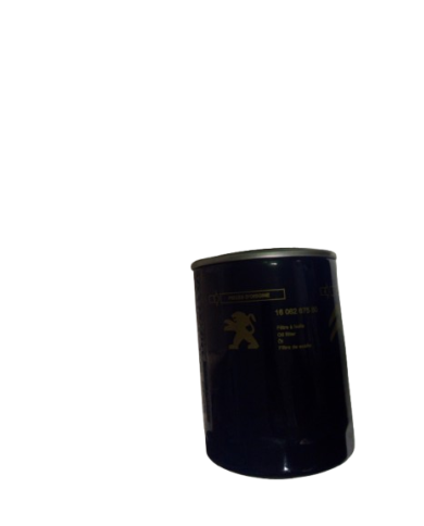 Filtre A Huile Jumper Réf 1606267580