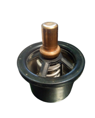 Carlostat Réf 5001855520