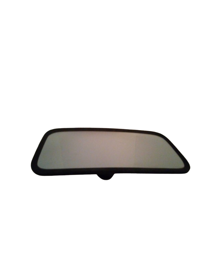 Rétroviseur INT BOX Réf 50165200071